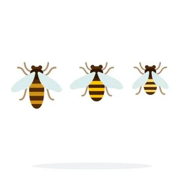 Bee different size vector flat material design isolated object on white Illustrazione stock