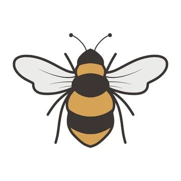 Bee drawing with striped body and transparent wings Stock Illustration