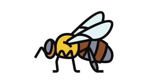 Bee drone icon 库存影片 326114190