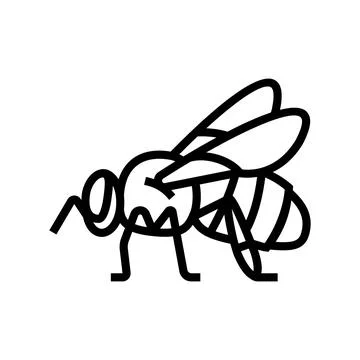 Bee drone icon line icon vector illustration Illustrazione stock