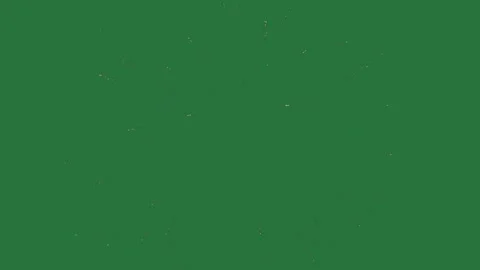 Bee Dynamic On Chroma Key For Compositing Stock Footage 338013614