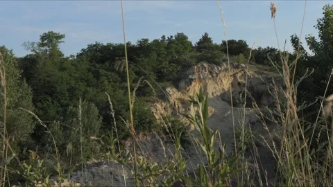 Bee-Eater Nesting Habitat – Sand Cliff with Burrows 8K Cinematic Slider Shot 스톡 동영상 320278187