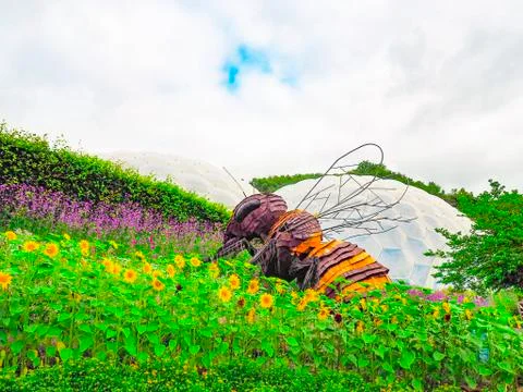 Bee at Eden project Stock Photos