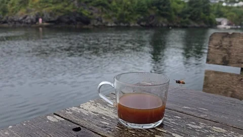 Bee exploring the rim of a glass coffee cup. Stock Footage 341158928