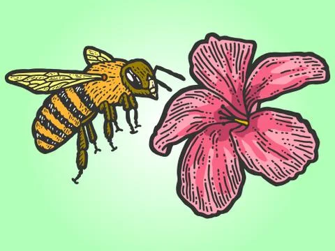 A bee flies to a flower. Scratch board imitation. Color hand drawn image. Stock Illustration