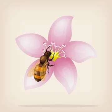 Bee flies on a flower. Vector illustration Stock Illustration