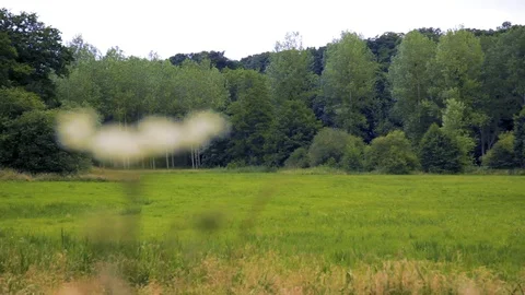 Bee on a flower (daisy) Stockbeeldmateriaal 118976875