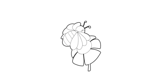 Bee on flower icon animation Stock Footage 161041341