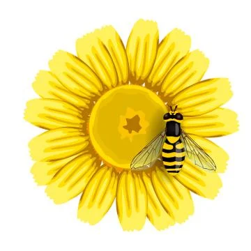 Bee on flower Stock Illustration