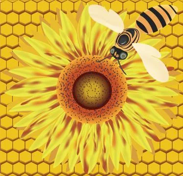 Bee on a flower. Stock Illustration