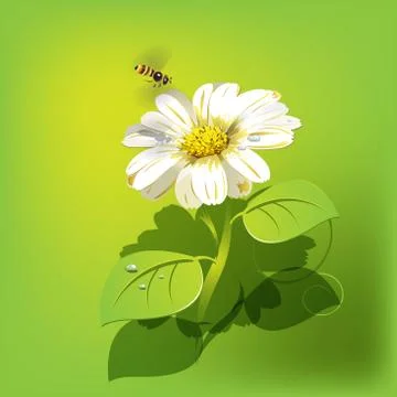 Bee on flower Stock Illustration