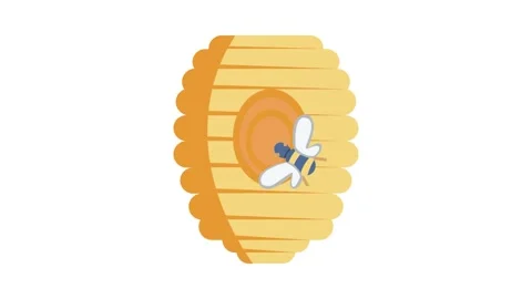 A bee flying around a beehive, with one bee clearly seen inside the structure Vídeo Stock 332330356