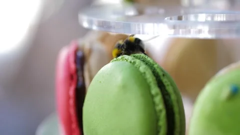 The bee is flying over the colorful macaroons at the candy bar in a terrace of Stock Footage 244858429