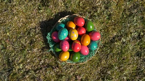 Bee is flying over ester eggs Video stock 73461350