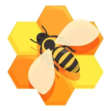 Bee flying over honeycomb structure, healthy organic honey production Stock Illustration