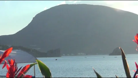 Bee Stockbeeldmateriaal 30366290