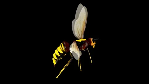 Bee Video stock 88394796