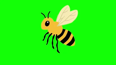 Bee Stock Footage 322890763