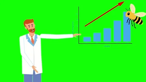 Bee Stock Footage 322890774