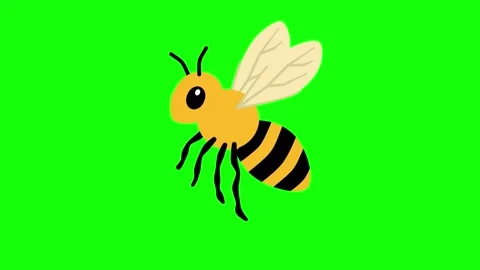 Bee Stock Footage 322890944