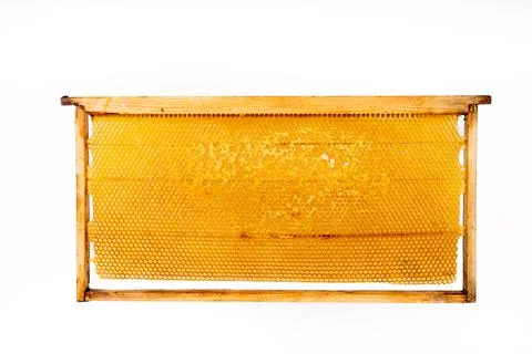 Bee frame with honeycombs on white background Stock Photos
