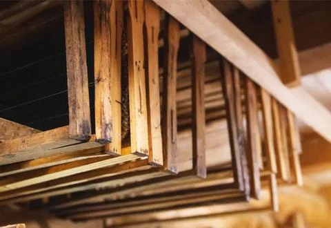 Bee frames with sealed combs and honey hang in the shed. Breeding bees Foto stock