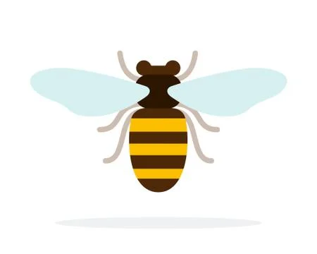 Bee front view flat isolated Stock Illustration