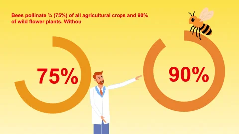 Bee graph animatio Stock Footage 323447708