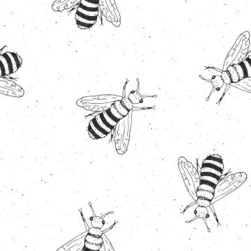 Bee hand drawn seamless pattern, monochrome background vector illustration Stock Illustration