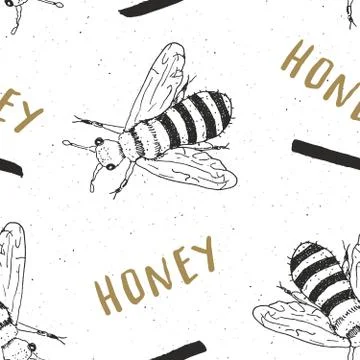 Bee hand drawn seamless pattern, with word honey vector illustration Stock Illustration