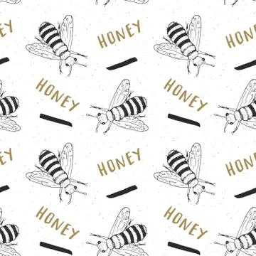 Bee hand drawn seamless pattern, with word honey vector illustration 스톡 일러스트