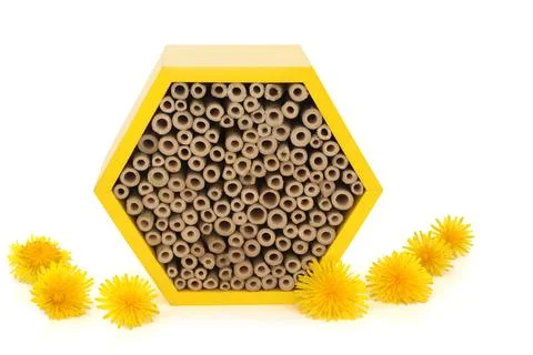 Bee Hexagonal House for Conservation of Bees Stock Photos