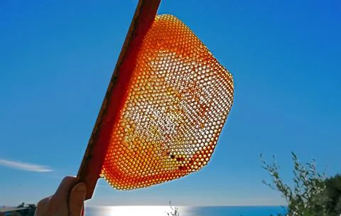 Bee hive in backlight and sky Stock Photos