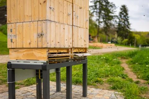 Bee hive with flying bees in botanic garden in Prague, Czech Republic Stock Photos