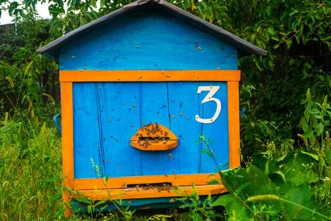 Bee hive frame blue yellow color in green garden Stock Photos
