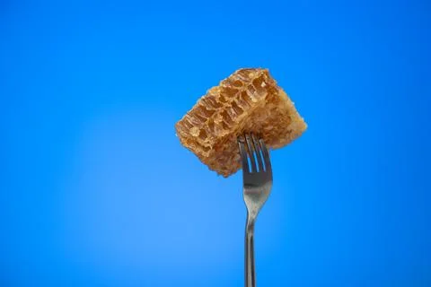 Bee hive honeycomb wax stuck on a fork isolated on blue background studio sho Stock Photos