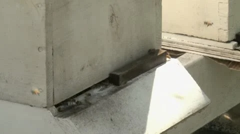 Bee hive one Stock Footage 8927006