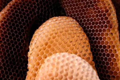 Bee hive Stock Photos