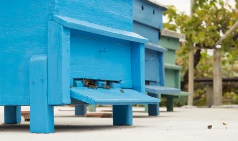 Bee-hive Stock Photos