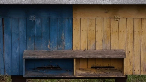 Bee hive, a small bee house Stock Footage 111749354