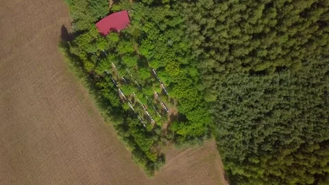 Bee hives from above - aerial top down with bee farm. Stock Footage 246743953