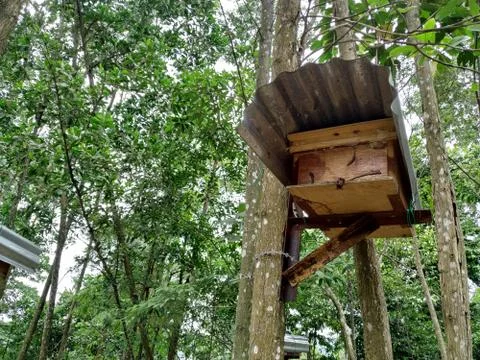 Bee hives in forest. Stock Photos