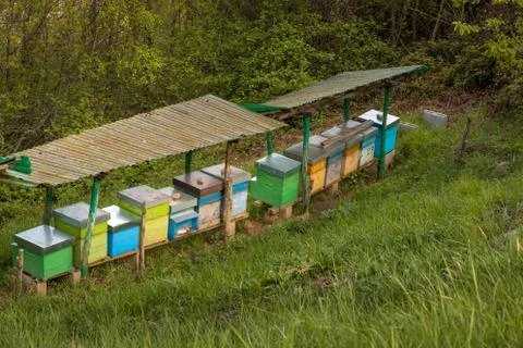 Bee hives in mountain close up 库存照片