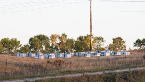 Bee Hives Stock-Fotos