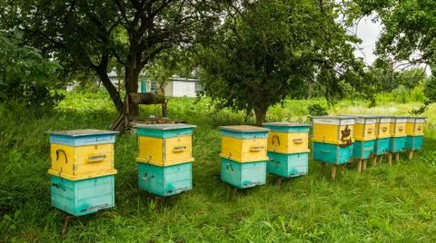 The bee hives Stock Photos
