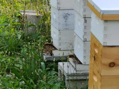 Bee Hives Stock Photos