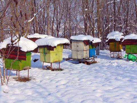Bee hives in the winter 스톡 사진