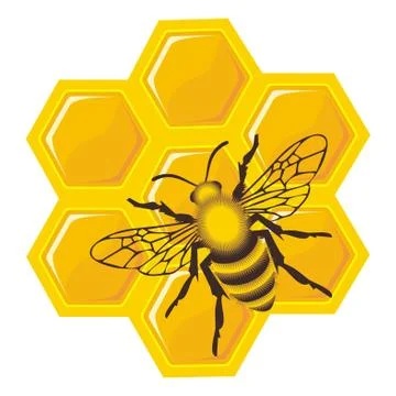 Bee on honey cells 스톡 일러스트