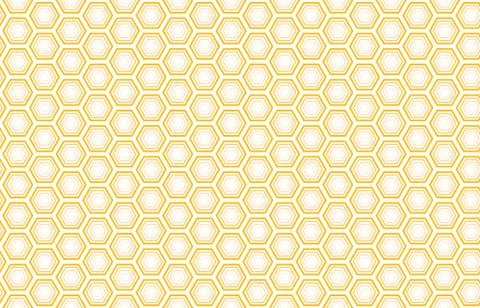 Bee honey comb background seamless. Vector pattern of bee honeycomb cells. Stock Illustration