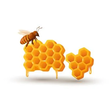 Bee with honey comb in flat design. Honeycomb and insect, apiculture produc.. Stock Illustration